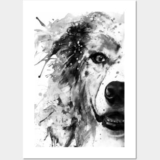 Australian Shepherd Dog Half Face Portrait Posters and Art